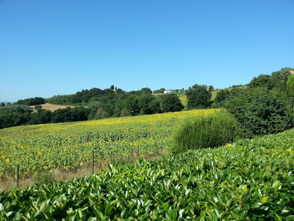 Willa Il Borghetto Todi Zewnętrze zdjęcie